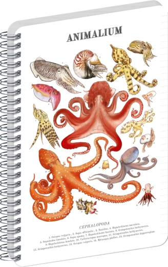 Notique Animalium spirálfüzet – fejlábúak, vonalas, A5