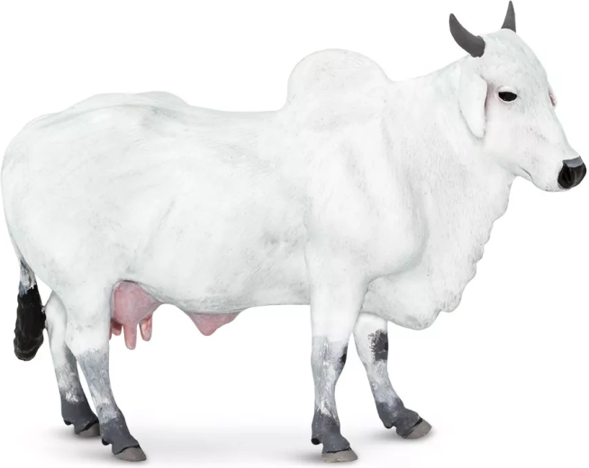 Házi szarvasmarha (zebu) figura Safari Ltd. – 1 db