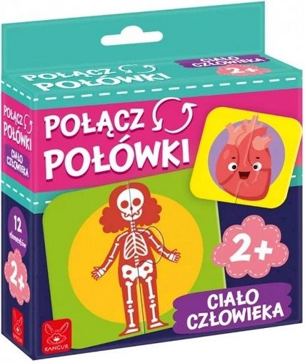 Felek összekapcsolása – emberi test oktató puzzle