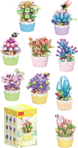Florist pozsgások díszcserepekben (9 féle) – 1 db