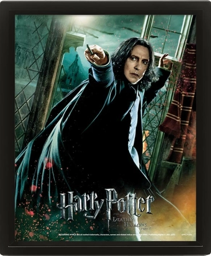3D kép HARRY POTTER – Perselus Piton