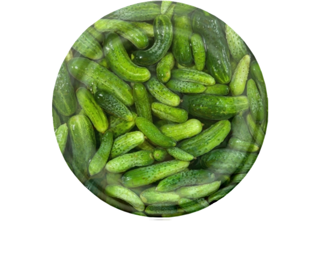 Uborkamintás, 82 mm-es befőző fedélkészlet, 6 bordával, 10 db