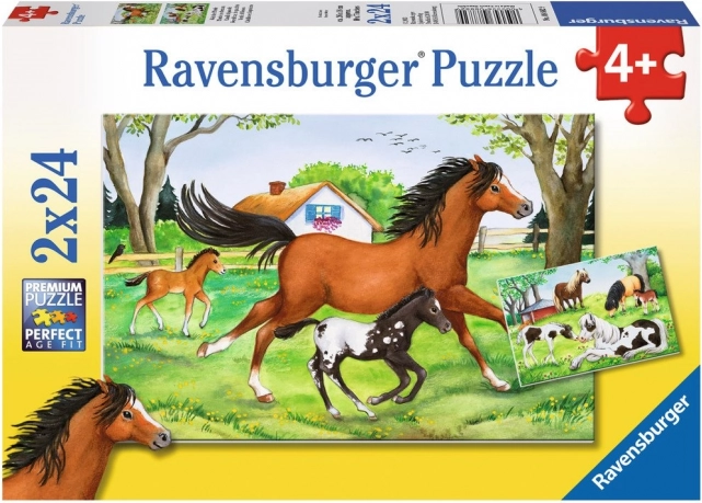 RAVENSBURGER puzzle – A lovak világa, 2×24 darabos