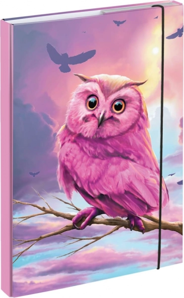 BAAGL A4 iskolai füzetborítók bagoly motívummal