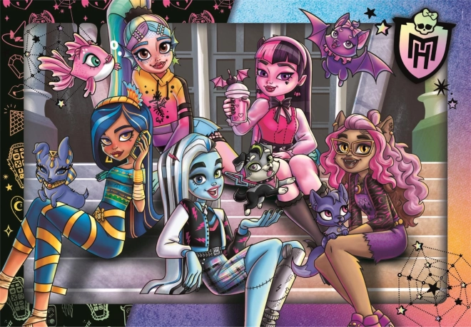 Monster High puzzle, 180 darab