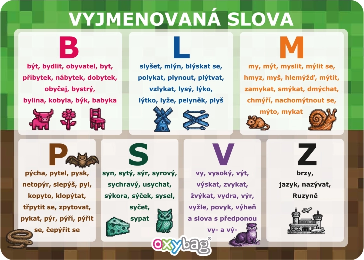 PlayWorld oktatókártya A4 – kivételek (vyjmenovaná slova)