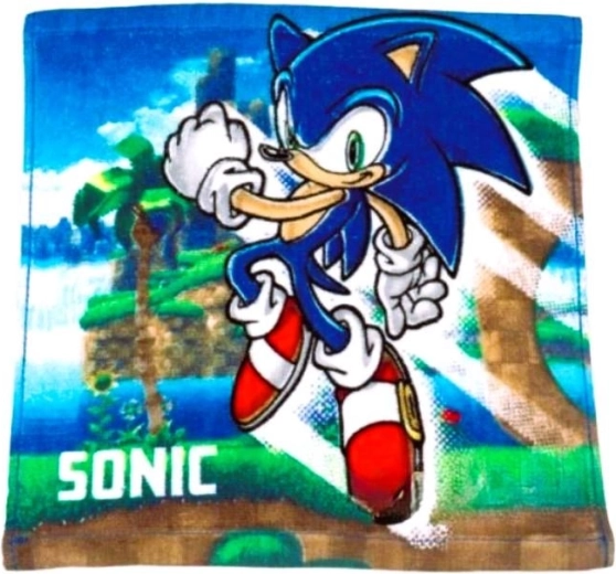 Sonic arctörlő - 1 db