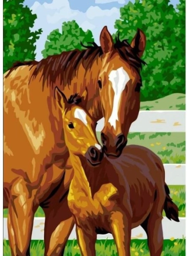 Gyémántmozaik (diamond painting) aranyos csikó 30 × 40 cm