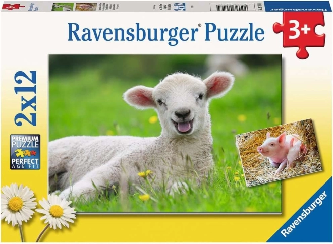 Ravensburger puzzle háziállatok 2×12 darab
