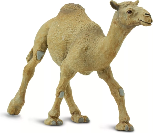 Safari Ltd. egypúpú teve figura – 1 db