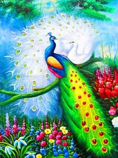 Gyémántszemes kirakó – pávák 30 × 40 cm