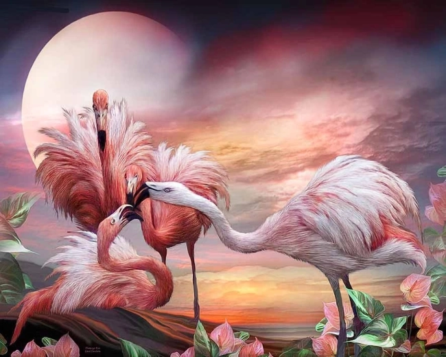Norimpex Számfestő készlet Flamingók 40 × 50 cm