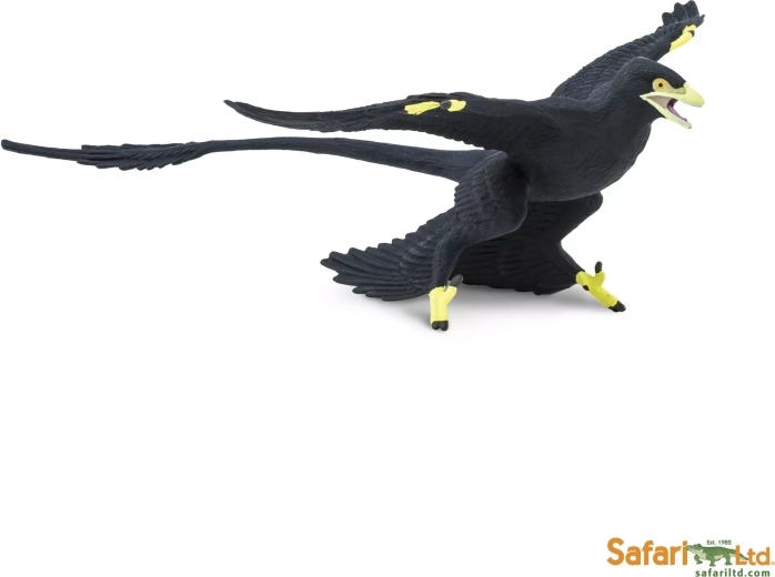 Microraptor Safari Ltd. - 1 db