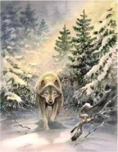 Norimpex számfestő készlet Farkas az erdőben 40 × 50 cm