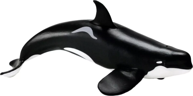 Safari Ltd. gyilkos bálna (D típus) figura