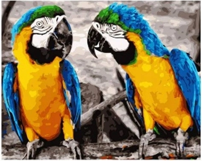 Gyémántfestés Papagájok 30 × 40 cm