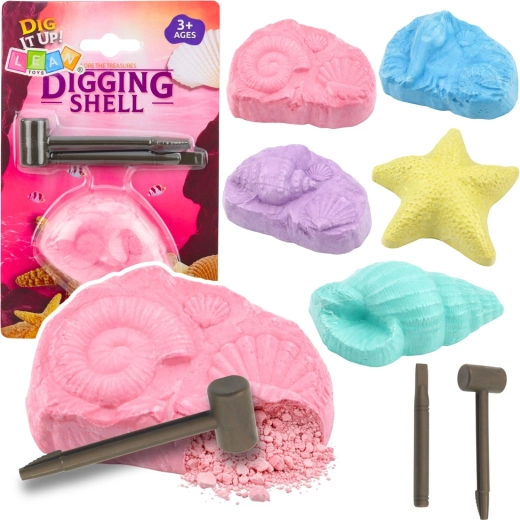 Őskövület feltáró készlet – tengeri kövületek kagylókkal és eszközökkel