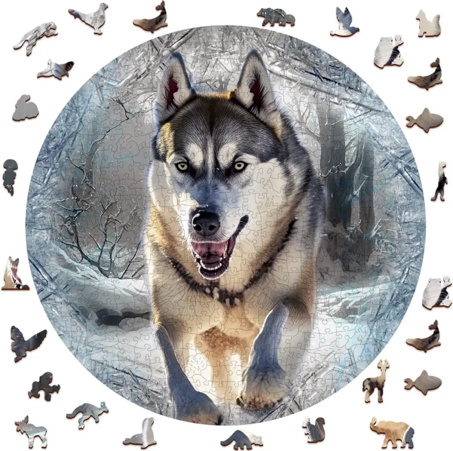 Fa puzzle Futó Farkas 505 darabos a Wooden City-től