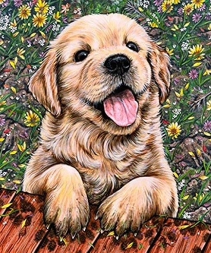 Gyémántszemes festés labrador kölyök 30 × 40 cm
