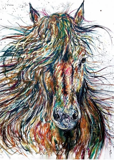 ANATOLIAN Szél – 500 darabos puzzle