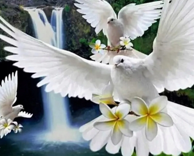 Gyémántfestés Fehér galambok 30 × 40 cm