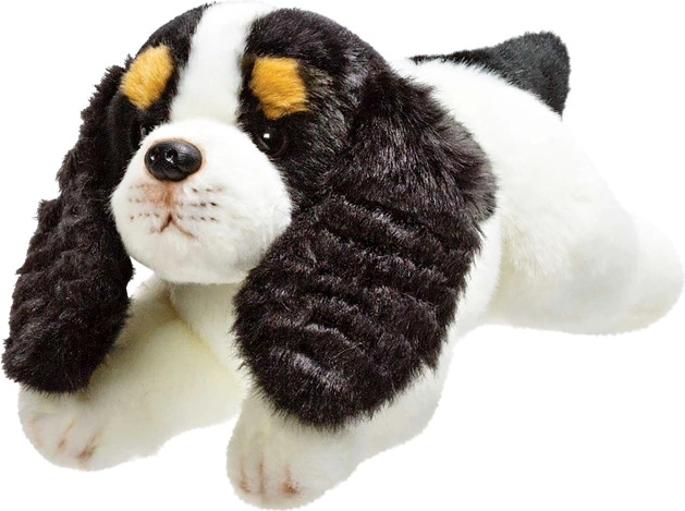 Plüss kutya Cavalier King Charles spániel 30 cm