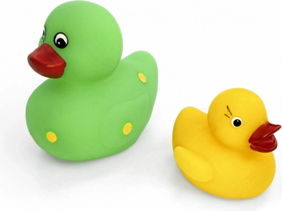 Nagy és kicsi sípoló kacsa készlet