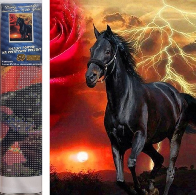 Gyémántszámos festőkészlet – fekete mén