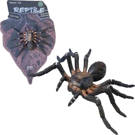 Élő természet: Wolf Spider – élethű pókmodell (12 cm)