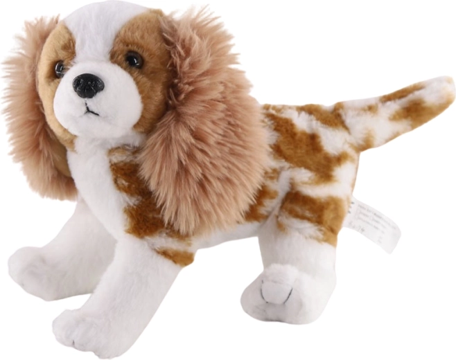 Plüss kutya Cavalier King Charles spániel 26 cm