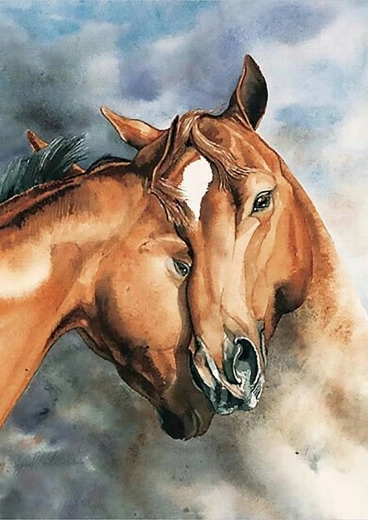 Norimpex számfestő készlet Lovak 40 × 50 cm