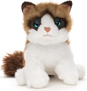 Ragdoll plüssmacska, 18 cm