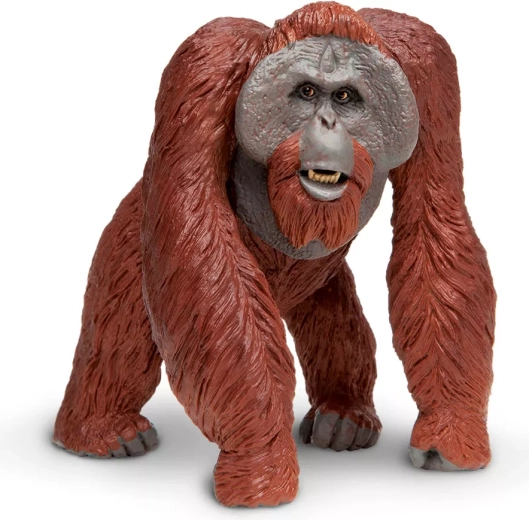 Borneói orángután figura Safari Ltd.