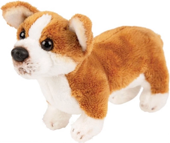 Plüss Corgi kutya