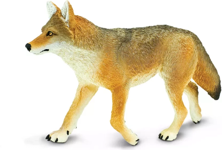 Safari Ltd. kojot figura – 1 db
