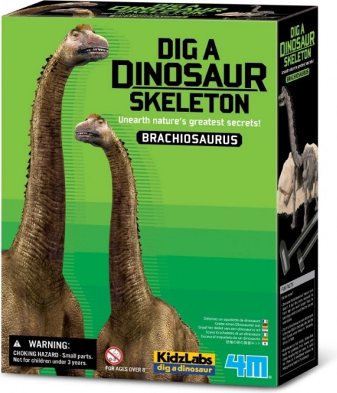 Ásatási készlet - Brachiosaurus