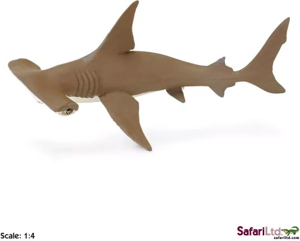 Safari Ltd. bronz kalapácsfejű cápa kölyke