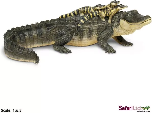 Safari Ltd. aligátor kölykeivel