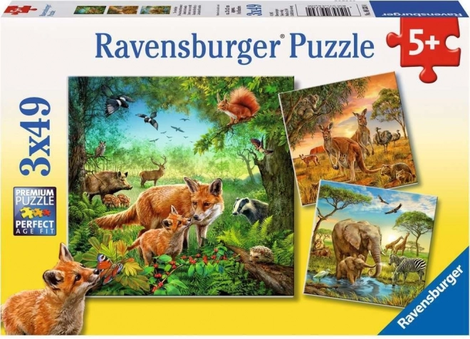 Ravensburger puzzle Állatok 3×49 darab