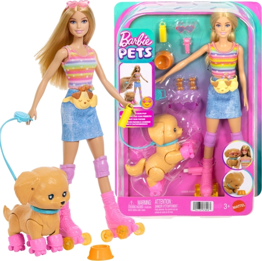 Mattel Barbie Pets készlet görkorcsolyás kiskutyával és kiegészítőkkel