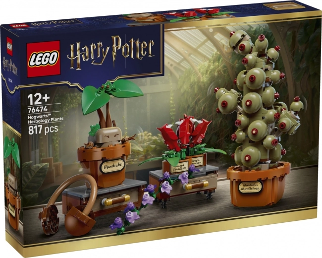 LEGO Harry Potter Növények a Roxfort gyógynövénytan órájáról