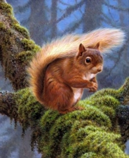 Gyémántfestés – mókus az ágon 30 × 40 cm