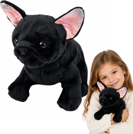 Plüss francia bulldog (fekete) 22 cm