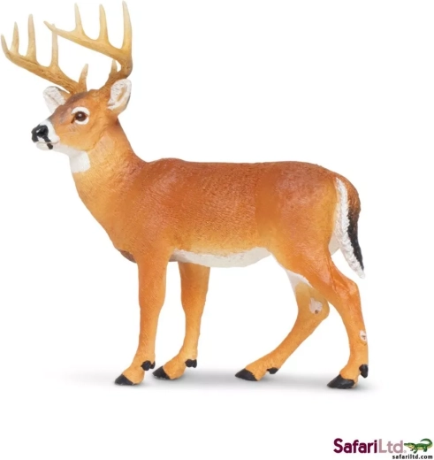 Safari Ltd. fehérfarkú szarvas