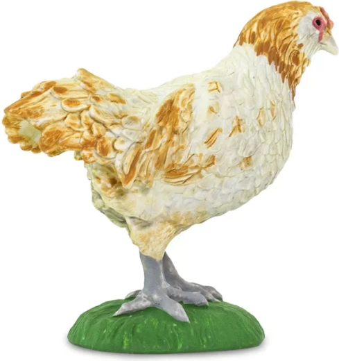 Safari Ltd. ameraukana tyúk figura – 1 db