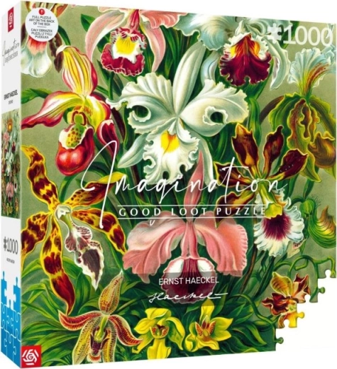 Puzzle Imagination: Ernst Haeckel – orchidea, 1000 darabos