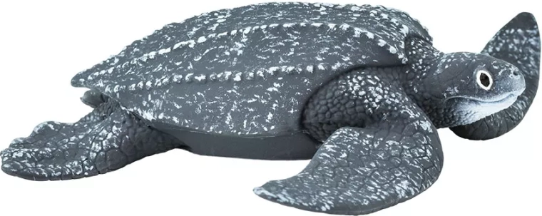 Bőröshátú óriásteknős (leatherback) Safari Ltd. – 1 db