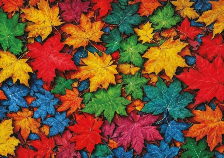 Puzzle Színes levelek 1000 darab