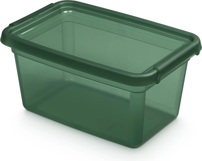 Basestore tárolódoboz fedéllel és csipeszekkel, PINE, 4,5 l