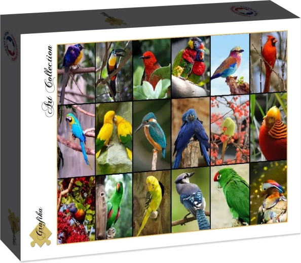 Grafika puzzle A világ legszebb madarai, 1500 darabos